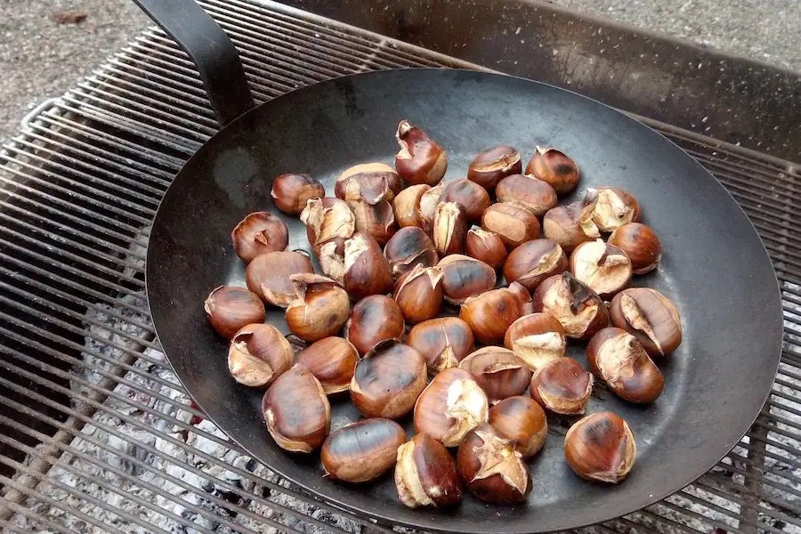 Tiny en pleine nature pour se ressourcer — photo 2