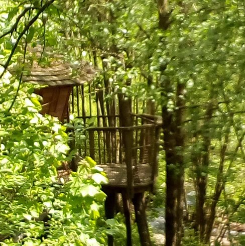 Hébergement AbracadaRoom : la Cabane Au Fil de l'Eau - Image 4