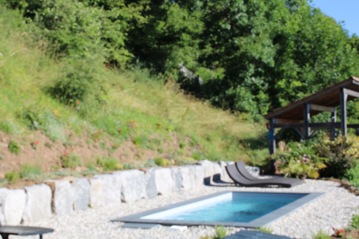 Dôme Céleste, accès piscine & SPA à Jaunac (17)