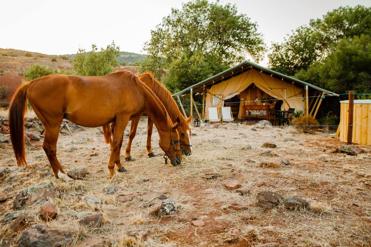 Domaine AbracadaRoom : L'Attrape Rêves - Image 1
