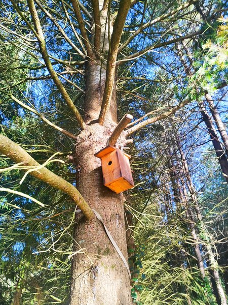 Domaine AbracadaRoom : Le Domaine des Anges - Image 19