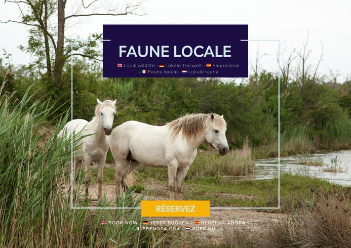 Hébergement AbracadaRoom : Houseboat Camargue - Canal du Rhône - Image 10