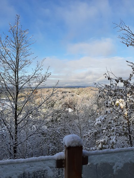 Hébergement AbracadaRoom : Cabane Spa Mésange - Image 31