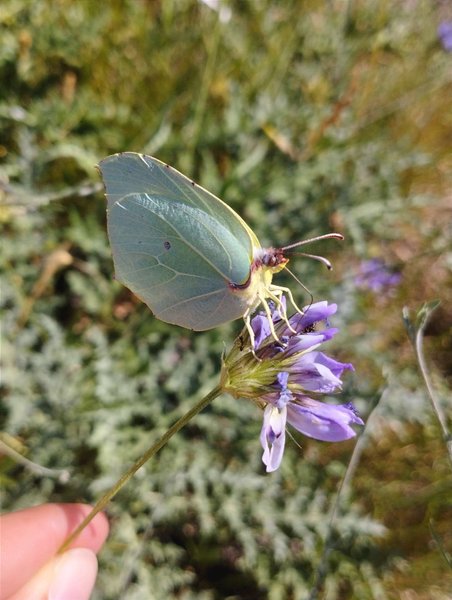 Domaine AbracadaRoom : Aurenda - Image 14