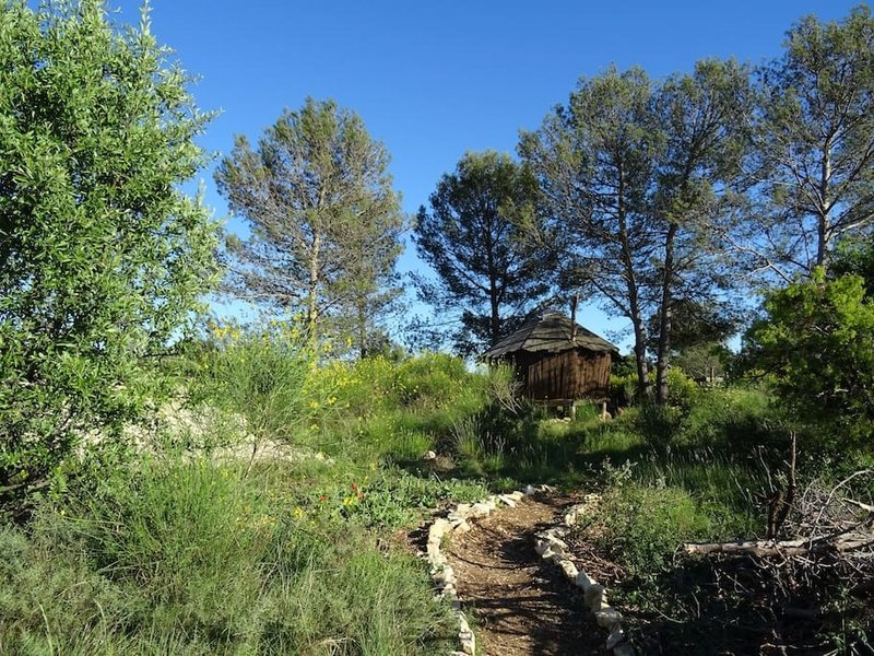 Domaine AbracadaRoom : L'Étrier des Cabanelles - Image 5