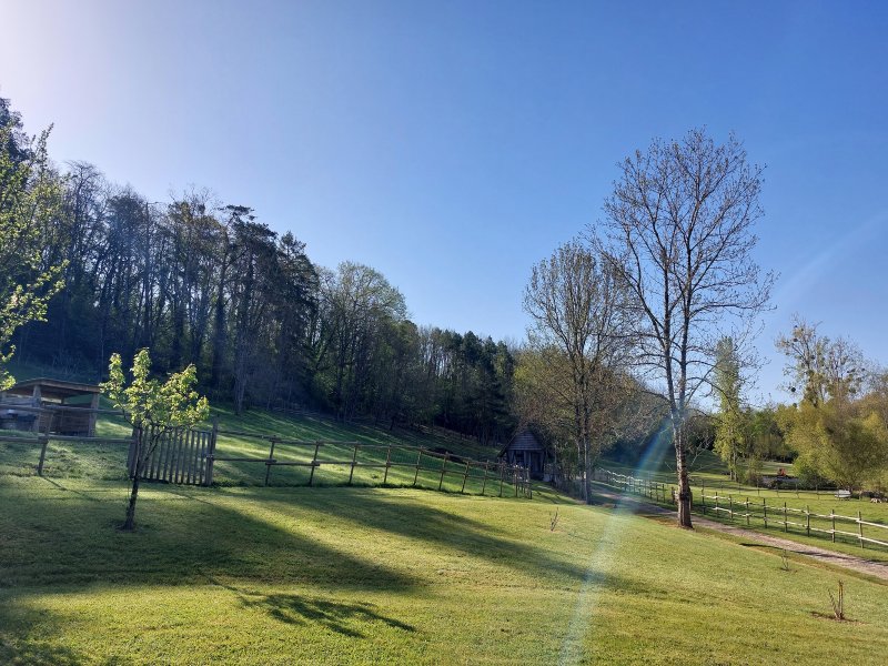 Domaine AbracadaRoom : Des Vignes et des Songes - Image 2