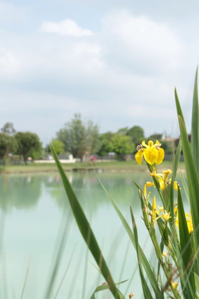 Domaine AbracadaRoom : Shanti Lac - Image 37