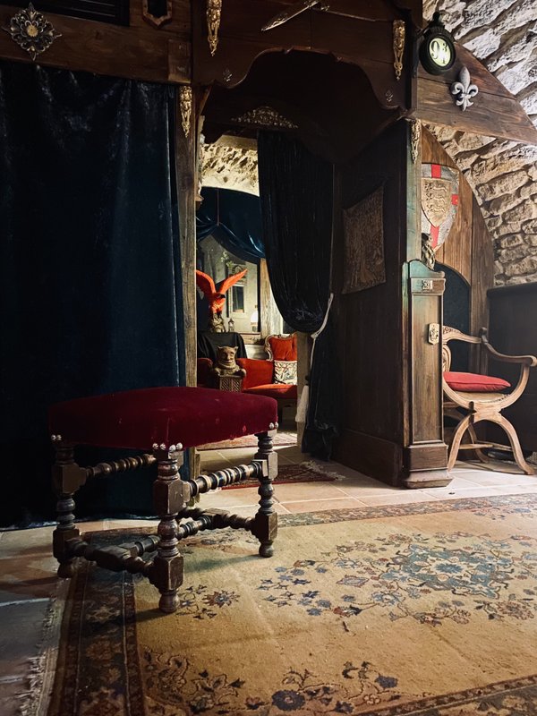Suite magique du Petit Sorcier et énigme (32m2) à Servas (7)