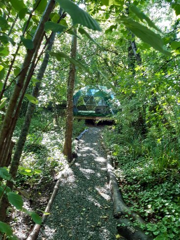 Hébergement AbracadaRoom : Géode Frêne Doré - Image 2