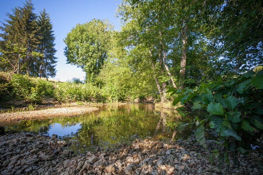 Domaine AbracadaRoom : La Vallée des Lapins - Image 6