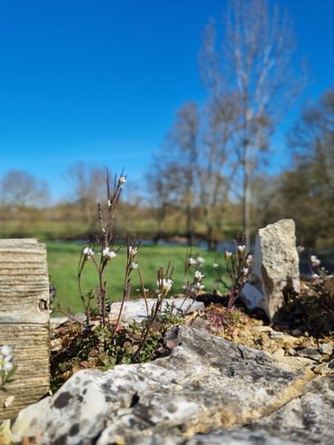 Domaine AbracadaRoom : Moulin de Vilaine - Image 58