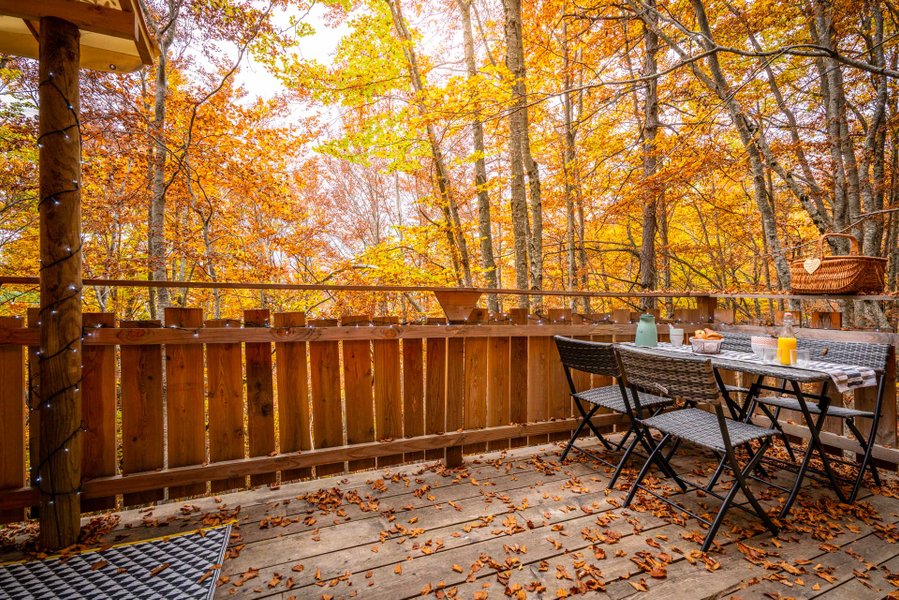 Hébergement AbracadaRoom : Cabane des Sylphes & Spa - Image 16