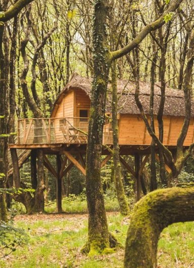 sejour insolite perché dans les arbres-famille-tinto-breatagne-abracadaroom