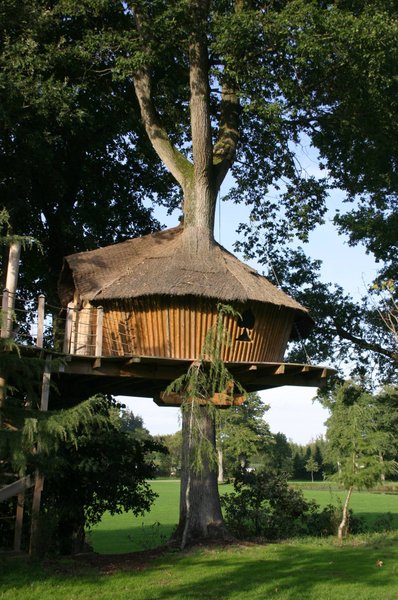 Hébergement AbracadaRoom : Cabane Familiale Chênes - Image 5