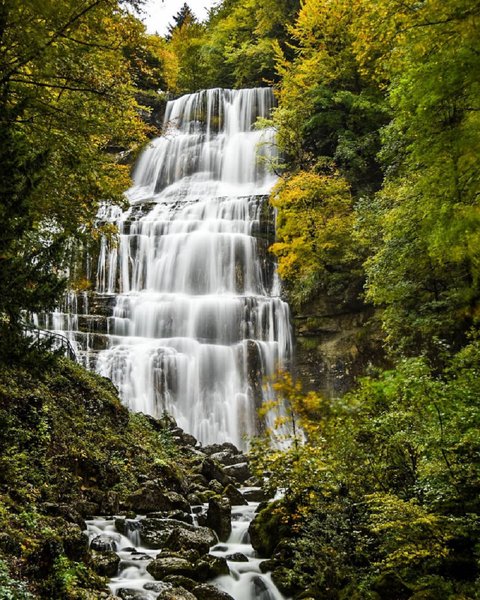 Domaine AbracadaRoom : Les Cabanes du Hérisson - Image 3