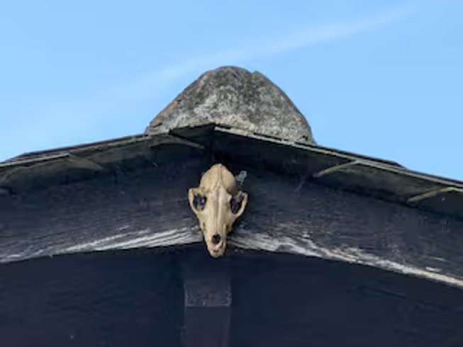 Hébergement AbracadaRoom : Datcha en Brocéliande - Image 17