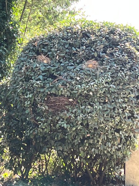 Domaine AbracadaRoom : BOISBOLCHET Ecolodge & SPA - Image 8