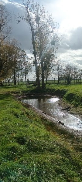Hébergement AbracadaRoom : La bulle - Image 4