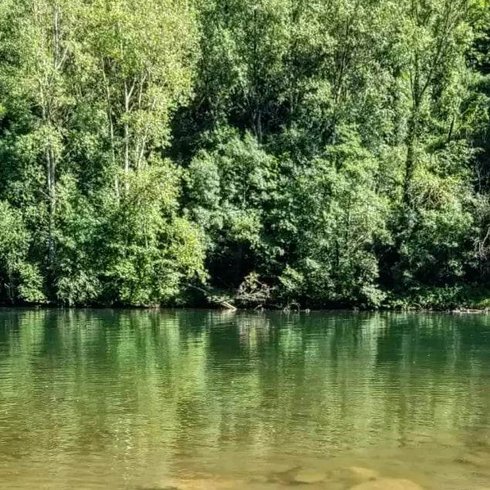 Hébergement AbracadaRoom : Cybèle, bulle perchée de la vallée - Image 30