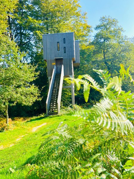 Hébergement AbracadaRoom : Cabane dans les arbres n°1 - Image 3