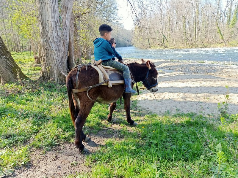 Domaine AbracadaRoom : Centre Agro Environnemental de Brassacou - Image 7