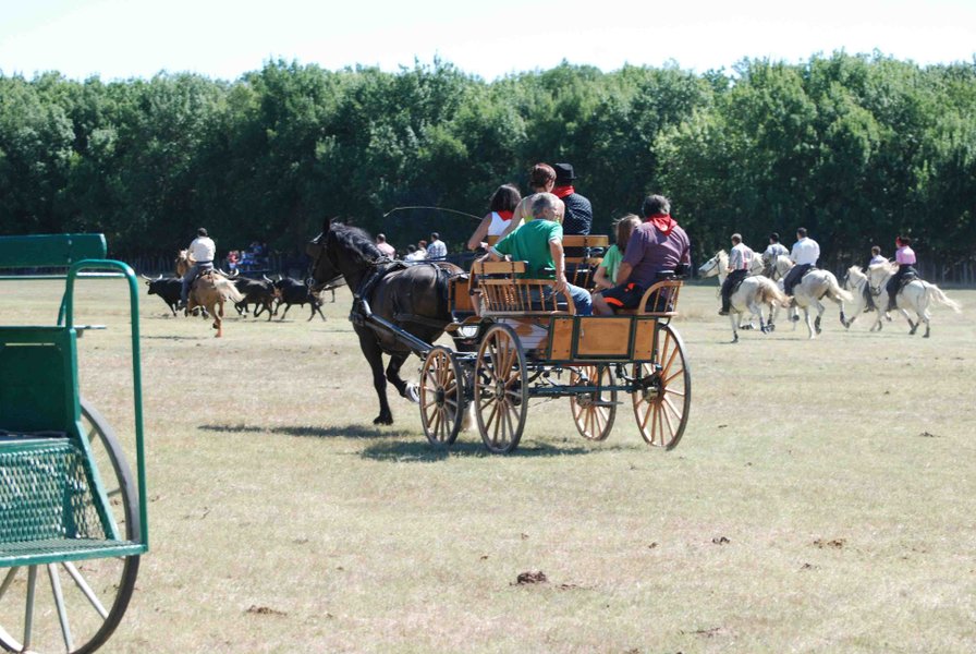 Domaine AbracadaRoom : Le Mazet de Jean - Image 3