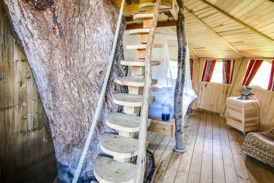 Hébergement AbracadaRoom : Cabane dans les arbres - Image 4
