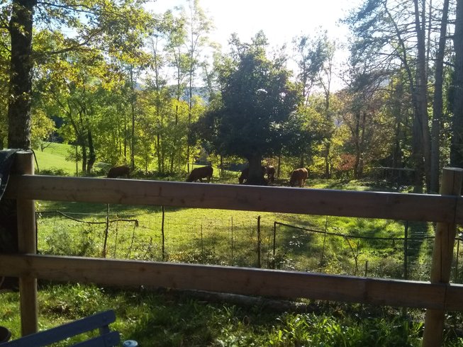 Hébergement AbracadaRoom : Le Minshuku & SPA - Image 3