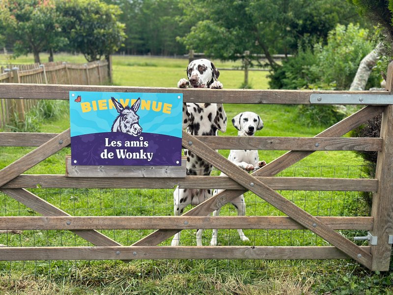 Domaine AbracadaRoom : Les roulottes des amis de Wonky - Image 1