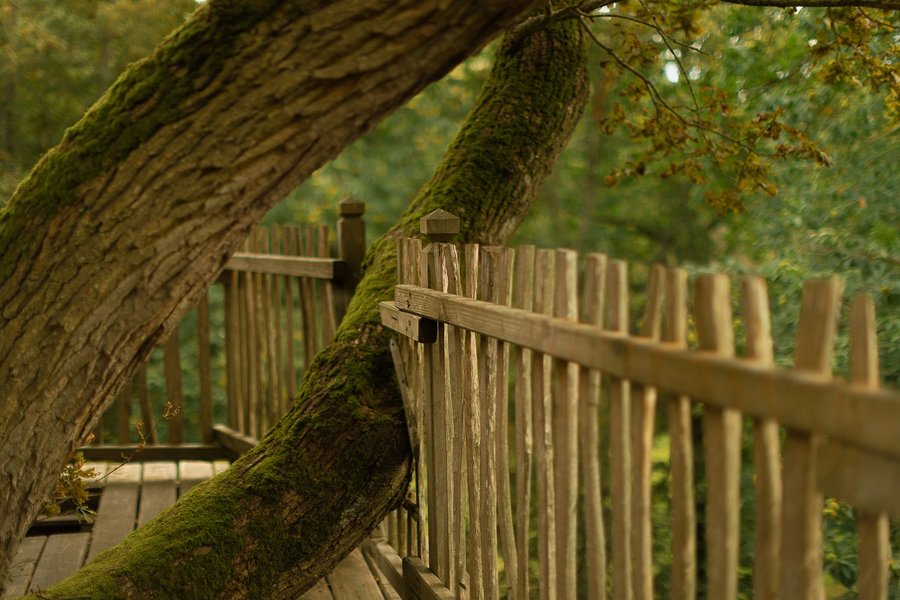 Hébergement AbracadaRoom : Cabane Imprenable - Image 6