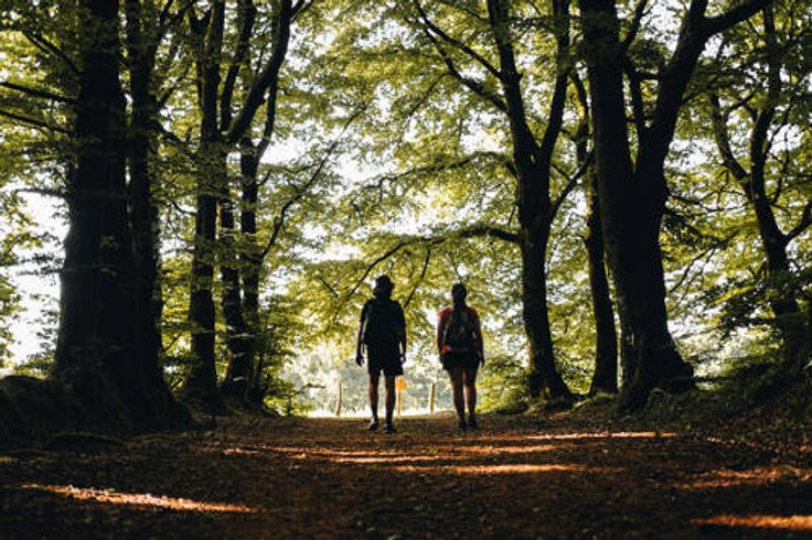 Domaine AbracadaRoom : Ecodomaine Rêver Ailleurs - Image 3