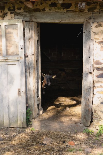 Hébergement AbracadaRoom : Parcel Tiny House - à la ferme proche Sancerre [2] - Image 11