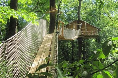 pont-singe-gibbons-cabane-belle