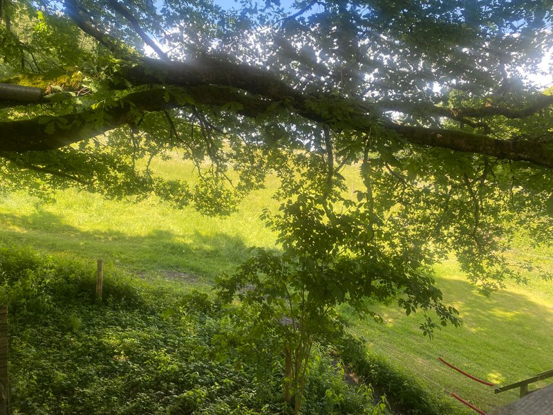 Domaine AbracadaRoom : Cabane dans le chêne tricentenaire - Image 11