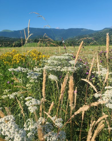 Domaine AbracadaRoom : Yourte Pyrénées - Image 20