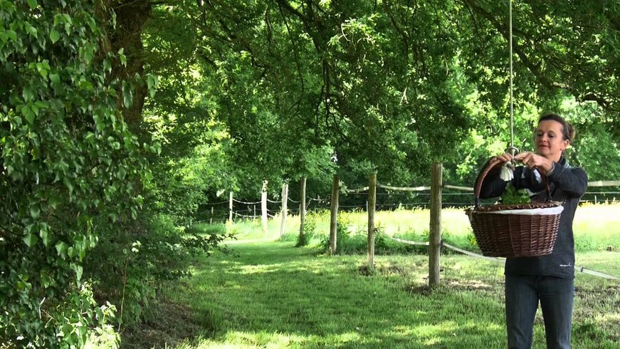 Domaine AbracadaRoom : Manoir de l'Alleu - Image 2