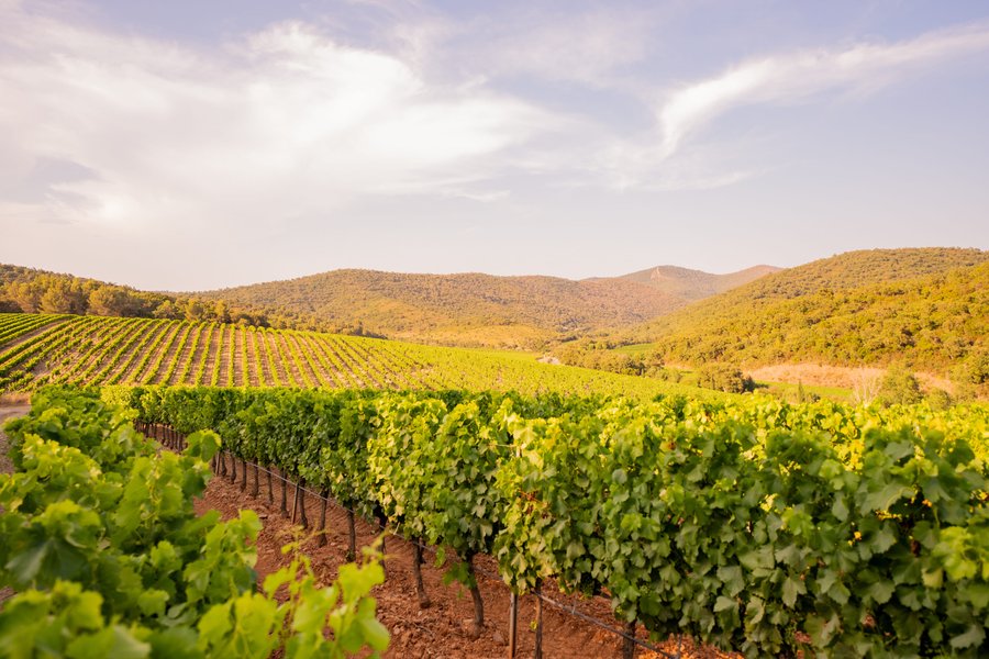 Domaine AbracadaRoom : Homnest (La Londe) - Image 14