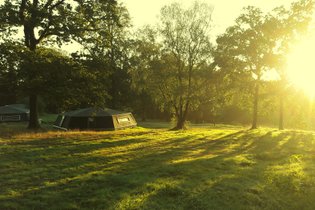 Inclassable Calvados