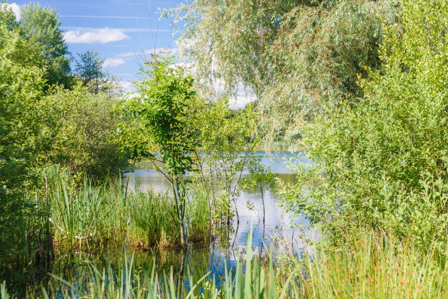 Domaine AbracadaRoom : Cabanes des Grands Lacs - Image 4