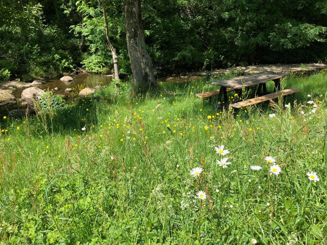 Hébergement AbracadaRoom : Hidden Dome in nature - Image 9