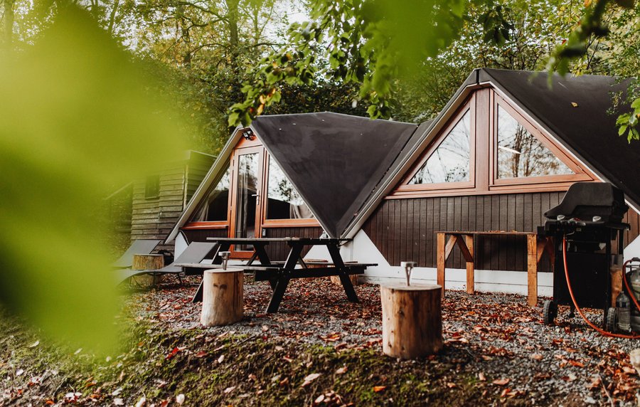 Domaine AbracadaRoom : In The Woods - Image 1