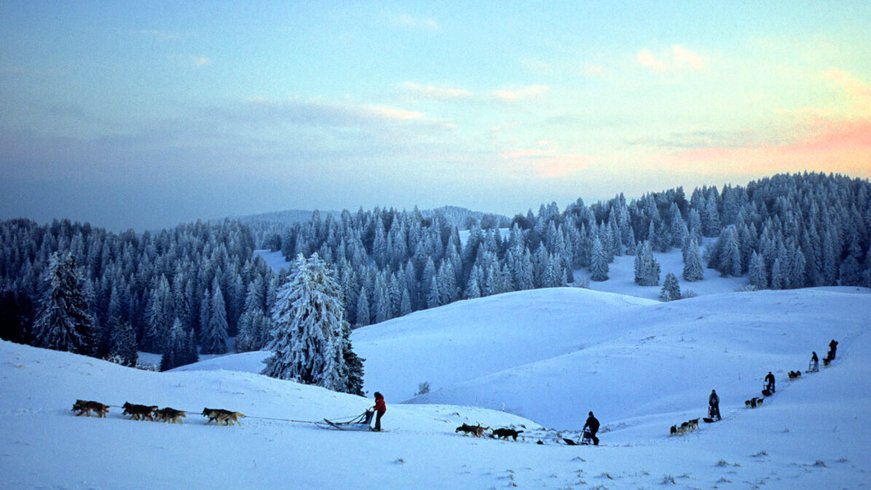 Hébergement AbracadaRoom : Bulle Texas – Luxe  & SPA – Vue Lac Aiguebelette - Image 73