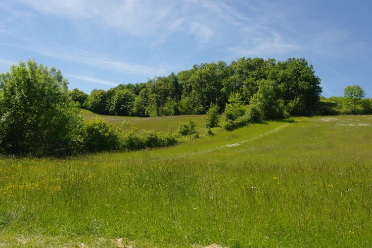 Domaine AbracadaRoom : Le Cri de la Yourte - Image 1