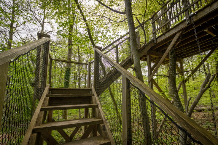 Hébergement AbracadaRoom : La Pat' de l'ours - Image 18