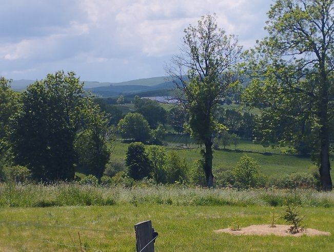 Hébergement AbracadaRoom : La Roulotte  Romantique du P'tit Buron - Image 14