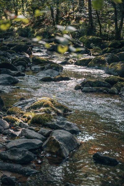 Hébergement AbracadaRoom : Castél de l'Arbre à Château de Memanat - Image 22