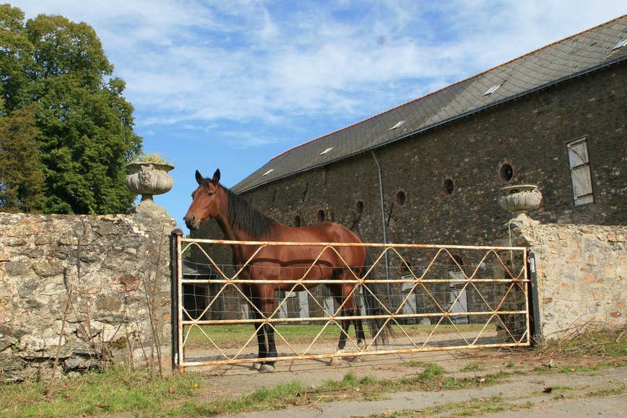 Domaine AbracadaRoom : Domaine des Vaulx - Image 7