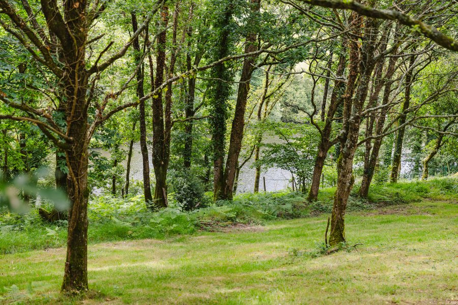 Domaine AbracadaRoom : KOADOU - Image 3