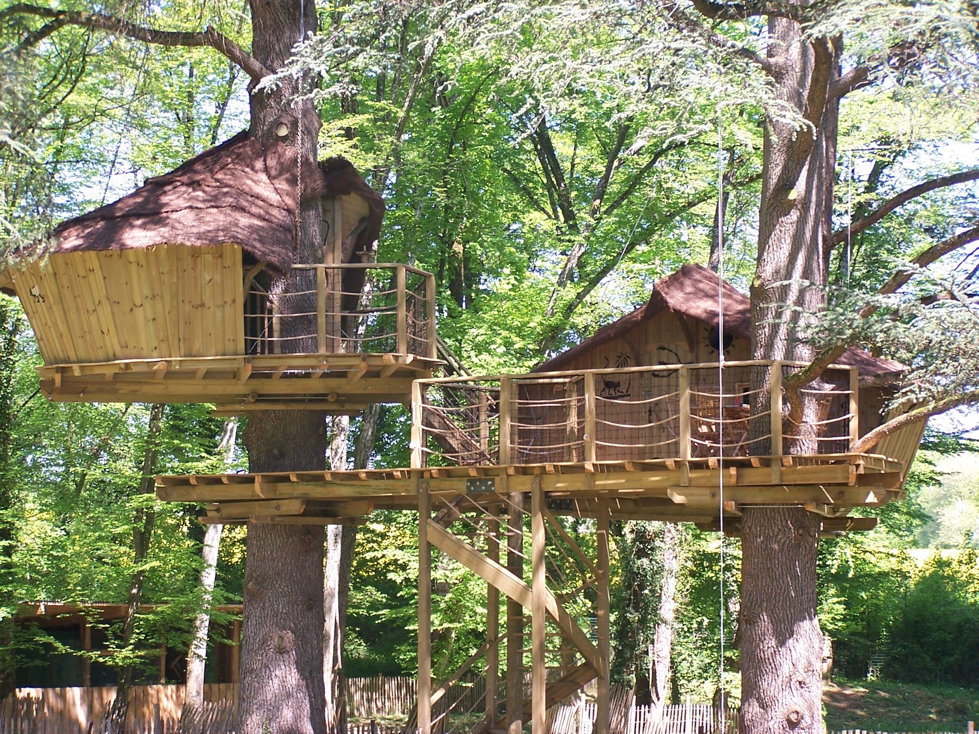 Cabane des Ouistitis