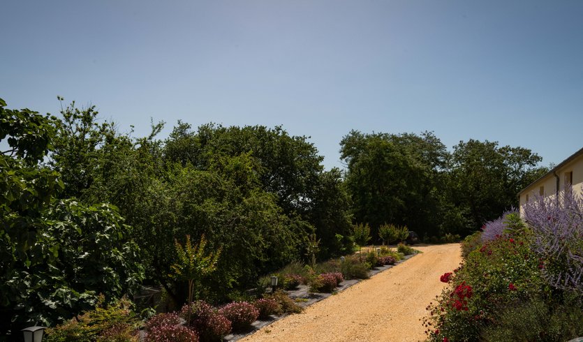 Domaine AbracadaRoom : Domaine Roccas - Image 3